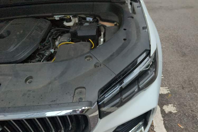 Used Geely Auto Monjaro L 2024 2.0TD High-Power Automatic Two-Wheel Drive Yunqi Version Engine Bay Left