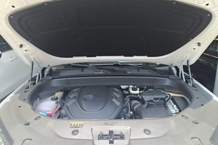 Used Geely Auto Monjaro L 2024 2.0TD DCT EVO Two-Wheel Drive Long-Range Version Engine Bay