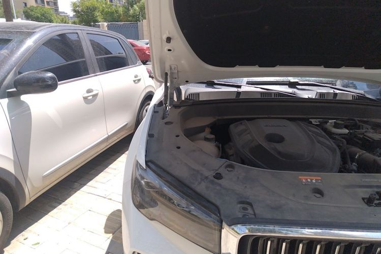 Used Geely Auto Monjaro L 2024 2.0TD DCT EVO Two-Wheel Drive Long-Range Version Engine Bay Right