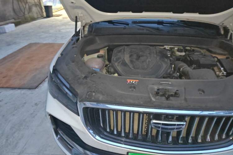 Used Geely Auto Monjaro L 2024 2.0TD High-Power Automatic Two-Wheel Drive Skyline Edition Engine Bay Right