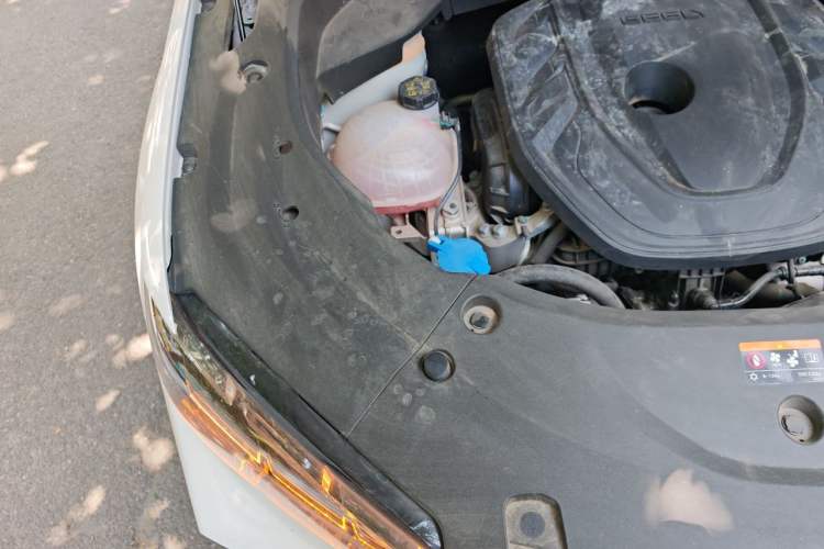 Used Geely Auto Monjaro L 2024 2.0TD DCT EVO Two-Wheel Drive Long-Range Version Engine Bay Right