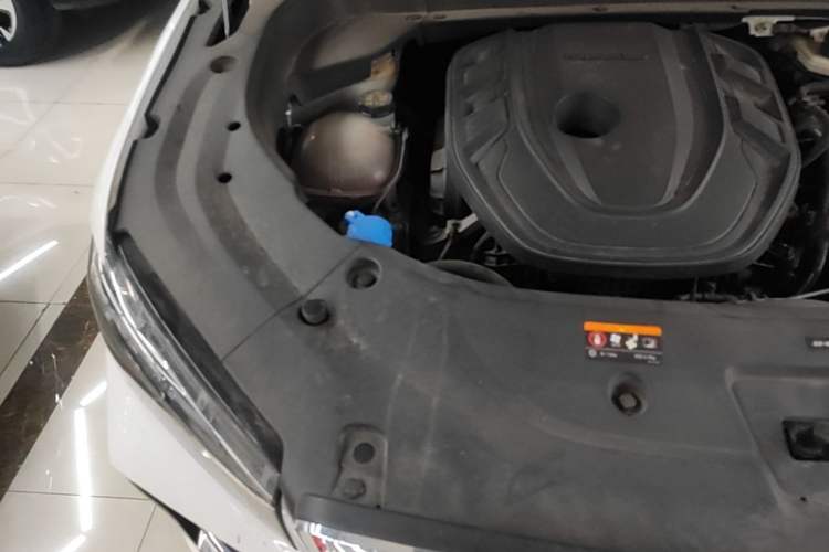 Used Geely Auto Monjaro L 2024 2.0TD High-Power Automatic Two-Wheel Drive Skyline Edition Engine Bay Right