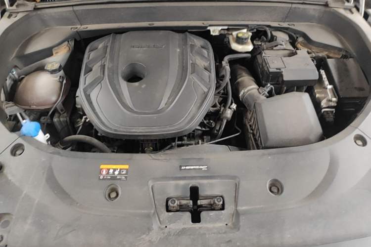 Used Geely Auto Monjaro L 2024 2.0TD High-Power Automatic Two-Wheel Drive Skyline Edition Engine Bay