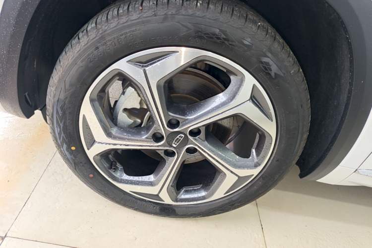 Used Geely Auto Monjaro L 2024 2.0TD DCT EVO Two-Wheel Drive Long-Range Version Exterior 4