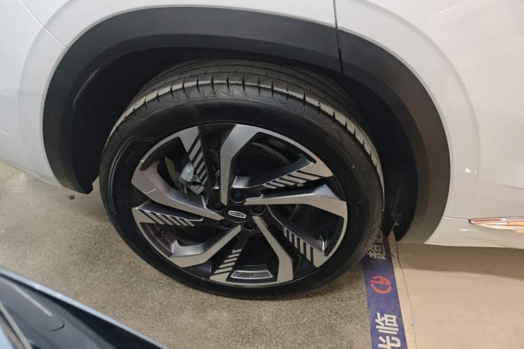 Used Geely Auto Monjaro L 2024 2.0TD High-Power Automatic Two-Wheel Drive Skyline Edition Exterior 5