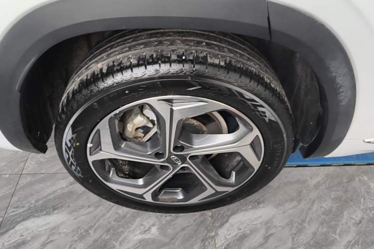 Used Geely Auto Monjaro L 2024 2.0TD DCT EVO Two-Wheel Drive Long-Range Version Exterior 5