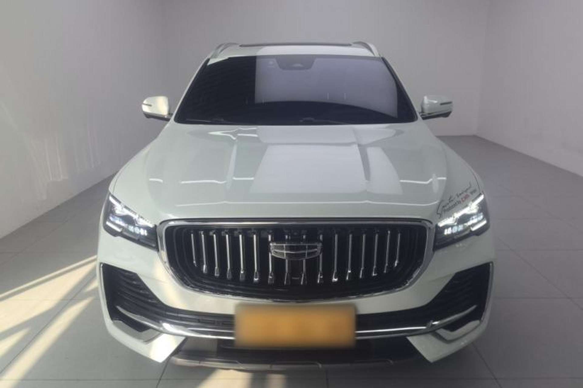 Used Geely Auto Monjaro L 2024 2.0TD High-Power Automatic Two-Wheel Drive Skyline Edition Front