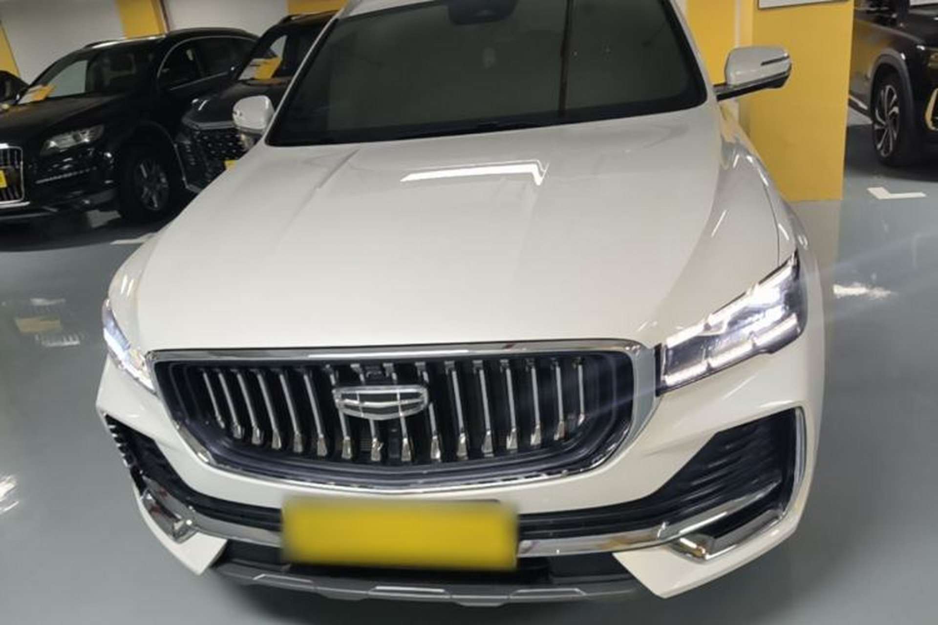 Used Geely Auto Monjaro L 2024 2.0TD High-Power Automatic Two-Wheel Drive Skyline Edition Front