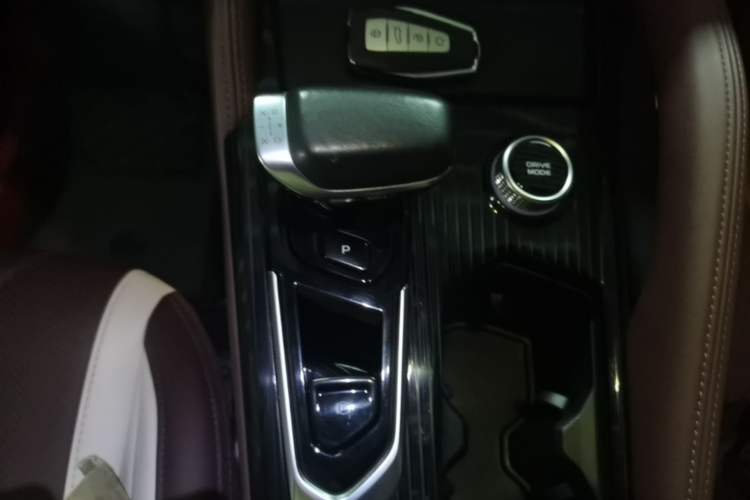 Used Geely Auto Monjaro L 2024 2.0TD High-Power Automatic Two-Wheel Drive Yunqi Version Gear Lever