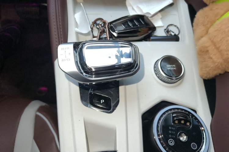 Used Geely Auto Monjaro L 2024 2.0TD High-Power Automatic Two-Wheel Drive Yunqi Version Gear Lever