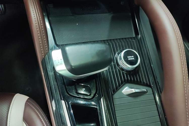 Used Geely Auto Monjaro L 2024 2.0TD High-Power Automatic Two-Wheel Drive Yunqi Version Gear Lever
