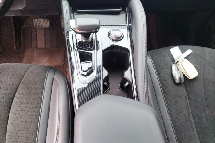 Used Geely Auto Monjaro L 2024 2.0TD High-Power Automatic Two-Wheel Drive Skyline Edition Gear Lever