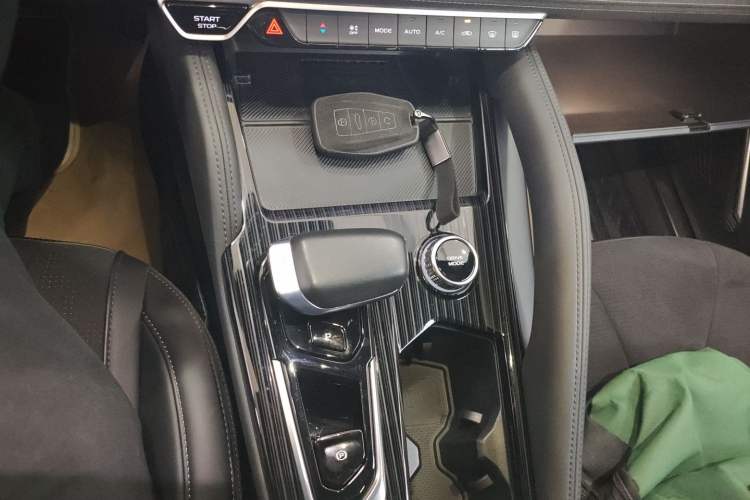 Used Geely Auto Monjaro L 2024 2.0TD High-Power Automatic Two-Wheel Drive Skyline Edition Gear Lever