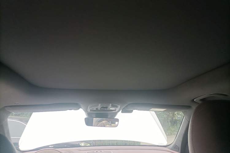 Used Geely Auto Monjaro L 2024 2.0TD High-Power Automatic Two-Wheel Drive Yunqi Version Headliner