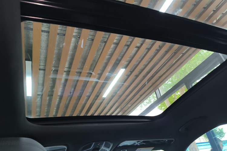 Used Geely Auto Monjaro L 2024 2.0TD DCT EVO Two-Wheel Drive Long-Range Version Headliner