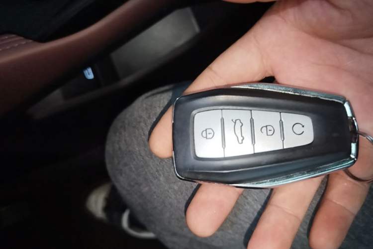Used Geely Auto Monjaro L 2024 2.0TD High-Power Automatic Two-Wheel Drive Yunqi Version Interior 1