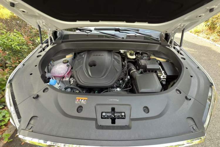 Used Geely Auto Monjaro L 2024 2.0TD DCT EVO Two-Wheel Drive Long-Range Version Interior 11