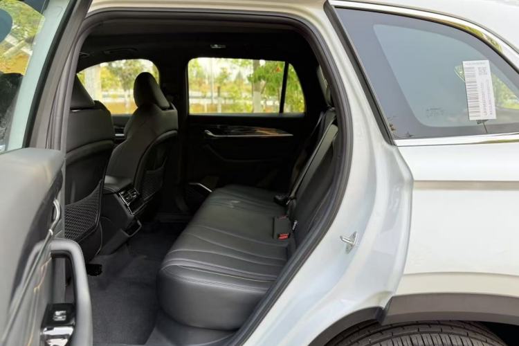 Used Geely Auto Monjaro L 2024 2.0TD DCT EVO Two-Wheel Drive Long-Range Version Interior 4