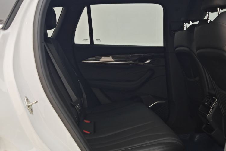 Used Geely Auto Monjaro L 2024 2.0TD DCT EVO Two-Wheel Drive Long-Range Version Interior 7