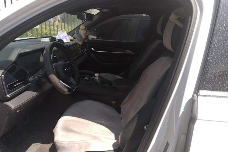 Used Geely Auto Monjaro L 2024 2.0TD DCT EVO Two-Wheel Drive Long-Range Version Left Front Seat