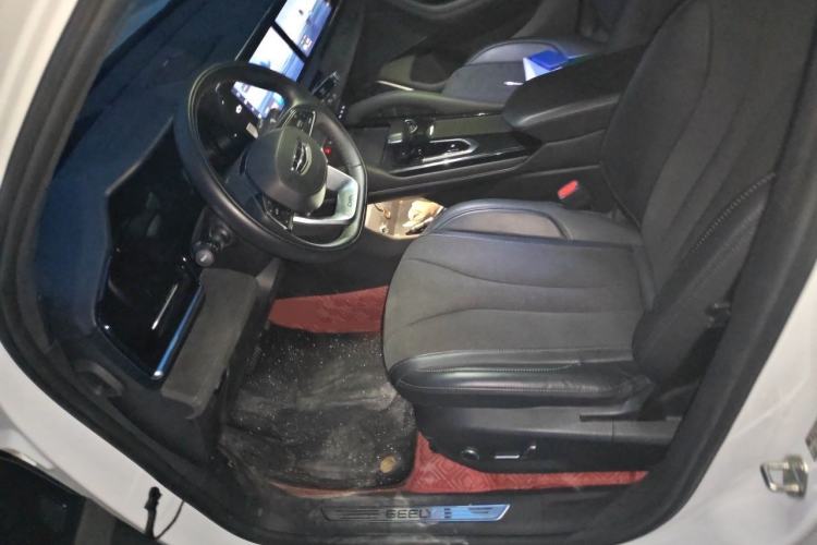 Used Geely Auto Monjaro L 2024 2.0TD High-Power Automatic Two-Wheel Drive Skyline Edition Left Front Seat