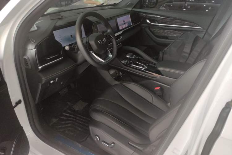 Used Geely Auto Monjaro L 2024 2.0TD DCT EVO Two-Wheel Drive Long-Range Version Left Front Seat