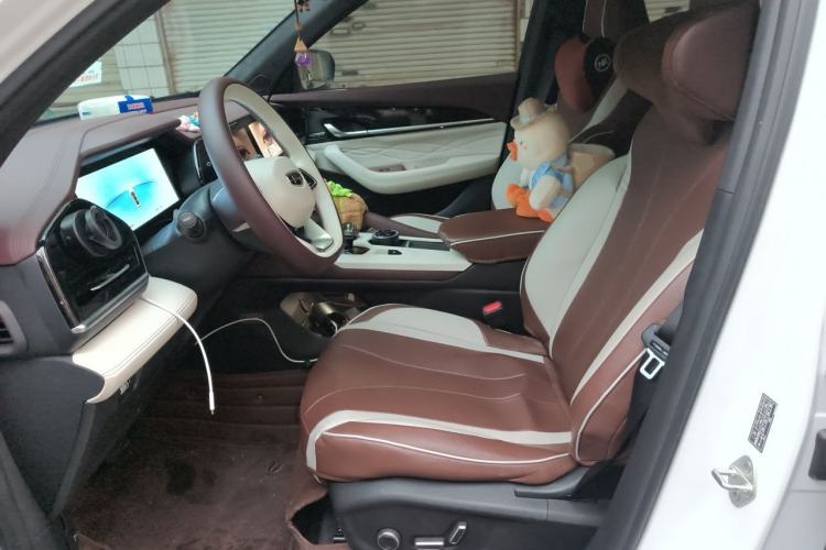 Used Geely Auto Monjaro L 2024 2.0TD High-Power Automatic Two-Wheel Drive Yunqi Version Left Front Seat