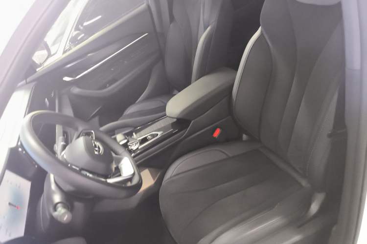 Used Geely Auto Monjaro L 2024 2.0TD High-Power Automatic Two-Wheel Drive Skyline Edition Left Front Seat