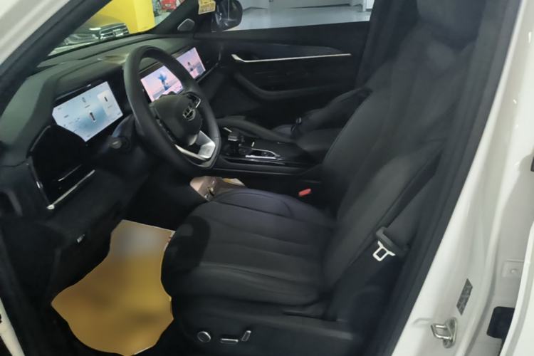 Used Geely Auto Monjaro L 2024 2.0TD High-Power Automatic Two-Wheel Drive Skyline Edition Left Front Seat