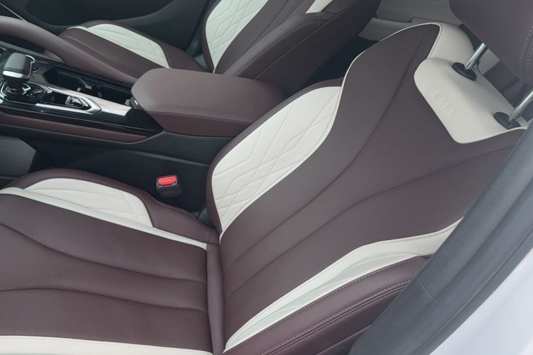 Used Geely Auto Monjaro L 2024 2.0TD High-Power Automatic Two-Wheel Drive Yunqi Version Left Front Seat