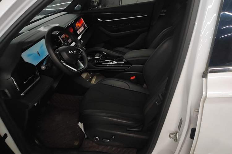 Used Geely Auto Monjaro L 2024 2.0TD High-Power Automatic Two-Wheel Drive Skyline Edition Left Front Seat