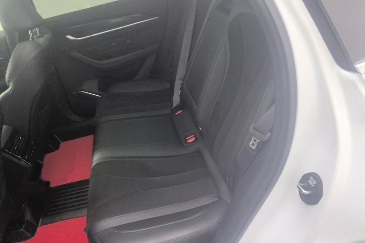 Used Geely Auto Monjaro L 2024 2.0TD High-Power Automatic Two-Wheel Drive Skyline Edition Left Rear Seat