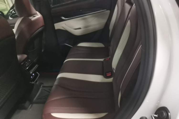 Used Geely Auto Monjaro L 2024 2.0TD High-Power Automatic Two-Wheel Drive Yunqi Version Left Rear Seat