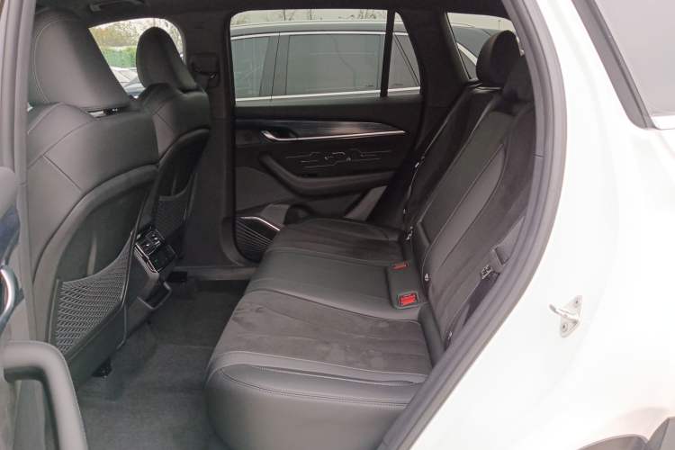 Used Geely Auto Monjaro L 2024 2.0TD High-Power Automatic Two-Wheel Drive Skyline Edition Left Rear Seat