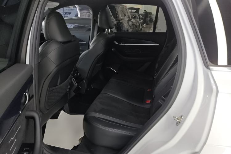 Used Geely Auto Monjaro L 2024 2.0TD High-Power Automatic Two-Wheel Drive Skyline Edition Left Rear Seat