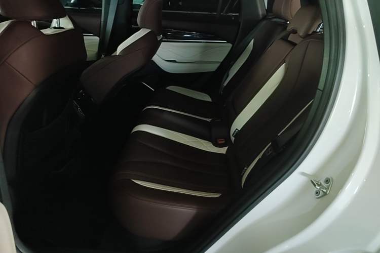 Used Geely Auto Monjaro L 2024 2.0TD High-Power Automatic Two-Wheel Drive Yunqi Version Left Rear Seat