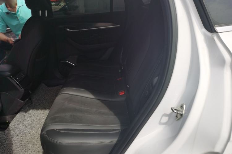 Used Geely Auto Monjaro L 2024 2.0TD High-Power Automatic Two-Wheel Drive Skyline Edition Left Rear Seat