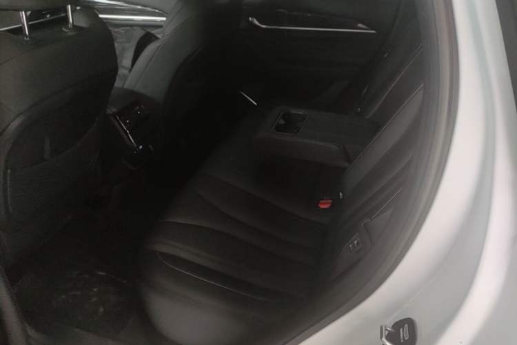 Used Geely Auto Monjaro L 2024 2.0TD DCT EVO Two-Wheel Drive Long-Range Version Left Rear Seat
