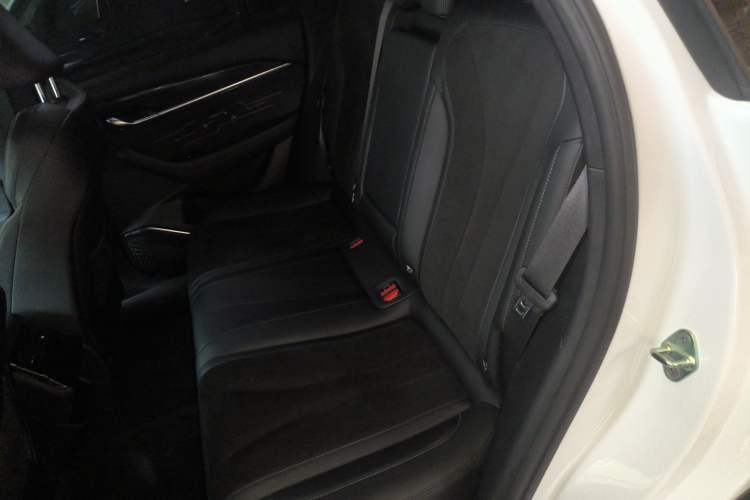 Used Geely Auto Monjaro L 2024 2.0TD High-Power Automatic Two-Wheel Drive Skyline Edition Left Rear Seat