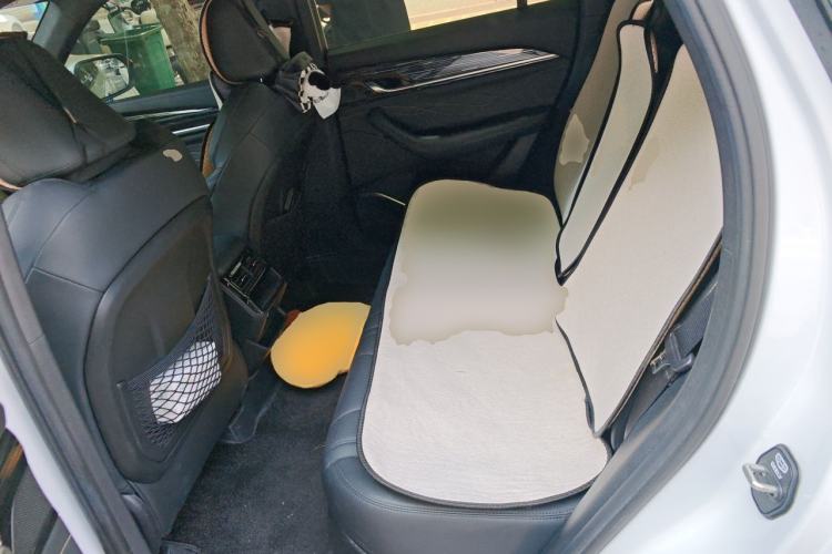 Used Geely Auto Monjaro L 2024 2.0TD DCT EVO Two-Wheel Drive Long-Range Version Left Rear Seat