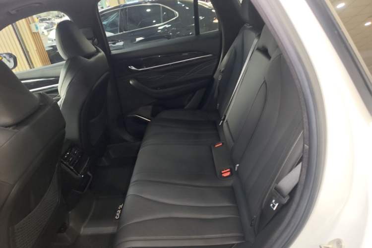 Used Geely Auto Monjaro L 2024 2.0TD DCT EVO Two-Wheel Drive Long-Range Version Left Rear Seat