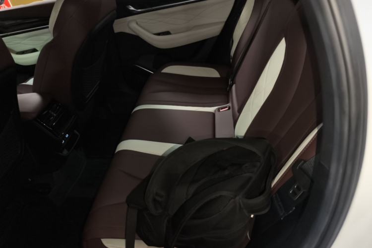Used Geely Auto Monjaro L 2024 2.0TD High-Power Automatic Two-Wheel Drive Yunqi Version Left Rear Seat