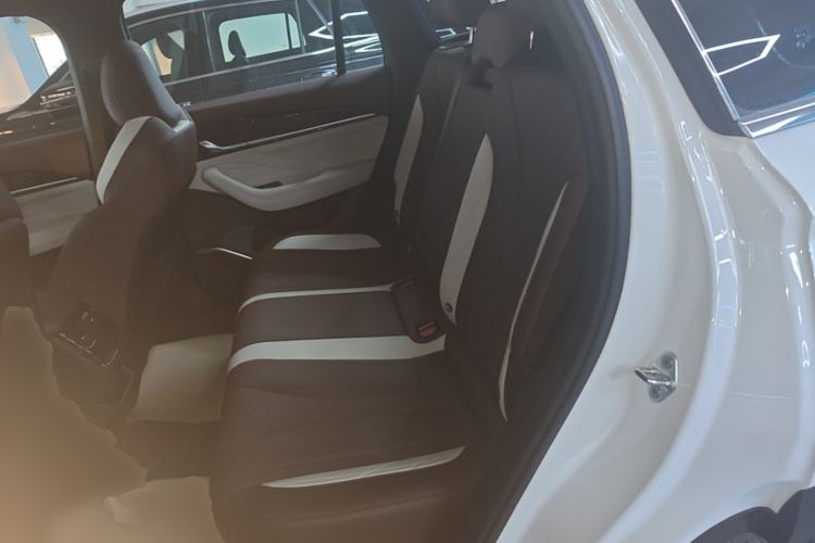 Used Geely Auto Monjaro L 2024 2.0TD High-Power Automatic Two-Wheel Drive Yunqi Version Left Rear Seat