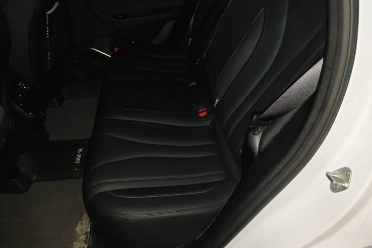 Used Geely Auto Monjaro L 2024 2.0TD DCT EVO Two-Wheel Drive Long-Range Version Left Rear Seat