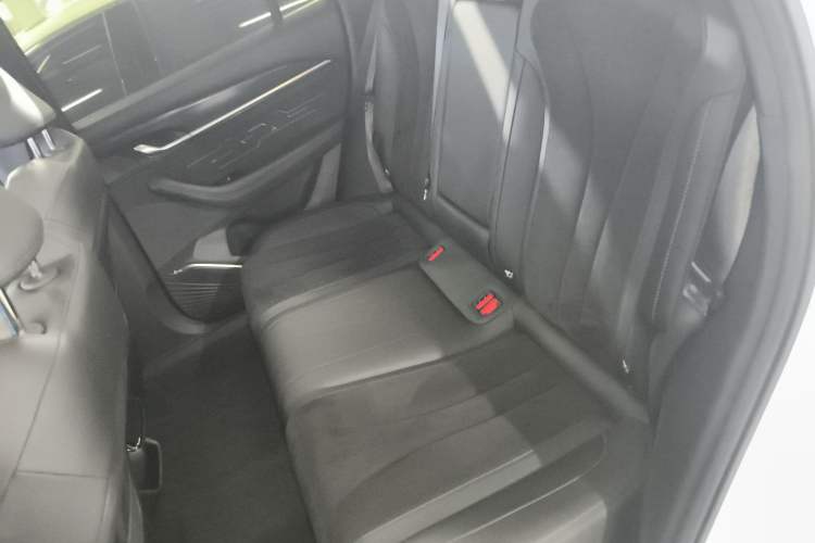 Used Geely Auto Monjaro L 2024 2.0TD High-Power Automatic Two-Wheel Drive Skyline Edition Left Rear Seat