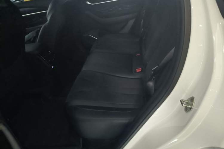 Used Geely Auto Monjaro L 2024 2.0TD High-Power Automatic Two-Wheel Drive Skyline Edition Left Rear Seat