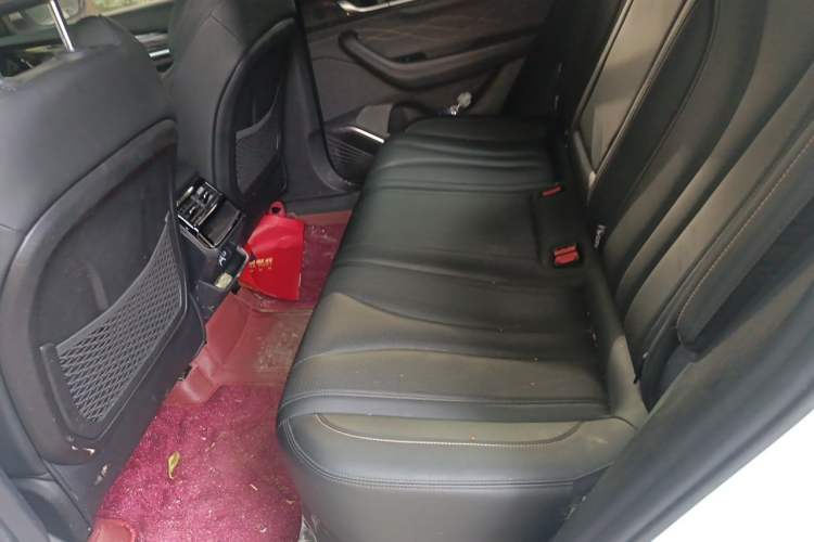 Used Geely Auto Monjaro L 2024 2.0TD DCT EVO Two-Wheel Drive Long-Range Version Left Rear Seat