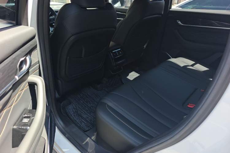 Used Geely Auto Monjaro L 2024 2.0TD DCT EVO Two-Wheel Drive Long-Range Version Left Rear Seat