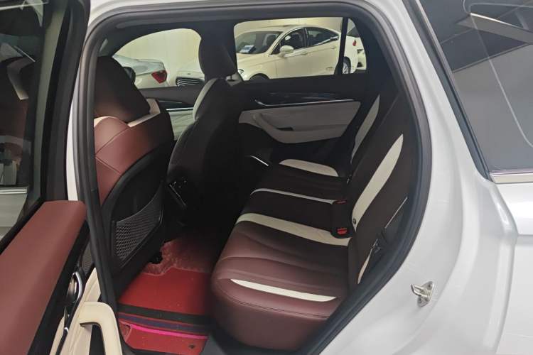 Used Geely Auto Monjaro L 2024 2.0TD High-Power Automatic Two-Wheel Drive Yunqi Version Left Rear Seat