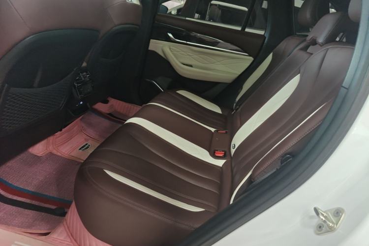 Used Geely Auto Monjaro L 2024 2.0TD High-Power Automatic Two-Wheel Drive Skyline Edition Left Rear Seat